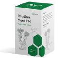 RHODIOLA ROSEA PM 90 KAPSLI