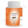 Cordyceps extra PM cps.60