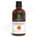 Green idea Lichoeinice bylinn extrakt 50ml