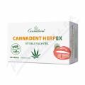 CANNADERM CANNADENT HERPEX RTY BEZ PUCH 28 TOB.