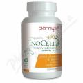 InoCell cps.60